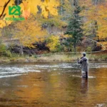 پشه کدیس Black Elk Hair Caddis